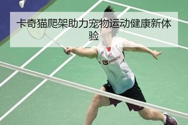 卡奇猫爬架助力宠物运动健康新体验