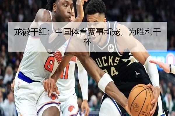 龙徽干红：中国体育赛事新宠，为胜利干杯